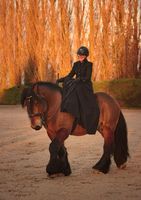 Stage Dressage