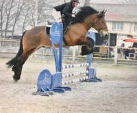 Stage CSO